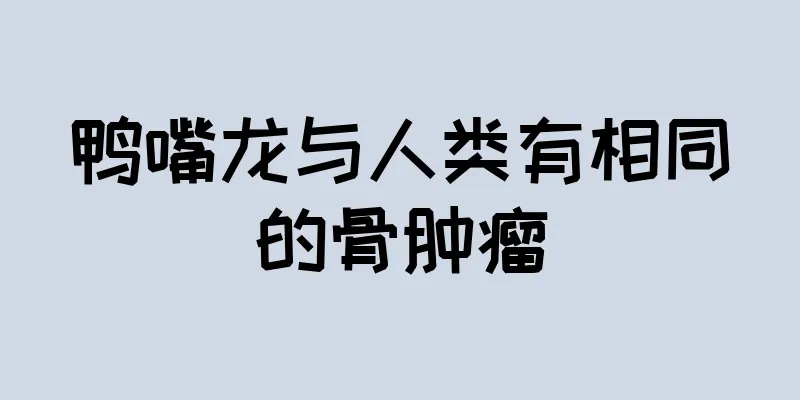 鸭嘴龙与人类有相同的骨肿瘤