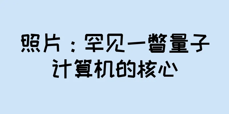 照片：罕见一瞥量子计算机的核心