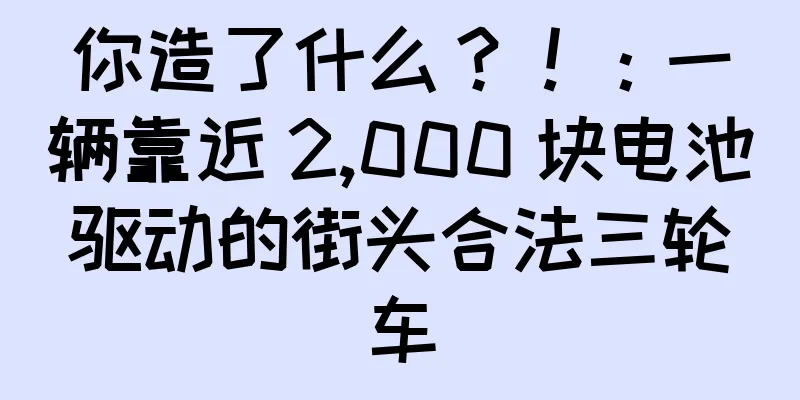 你造了什么？！：一辆靠近 2,000 块电池驱动的街头合法三轮车