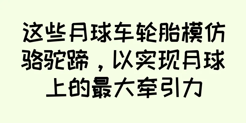 这些月球车轮胎模仿骆驼蹄，以实现月球上的最大牵引力