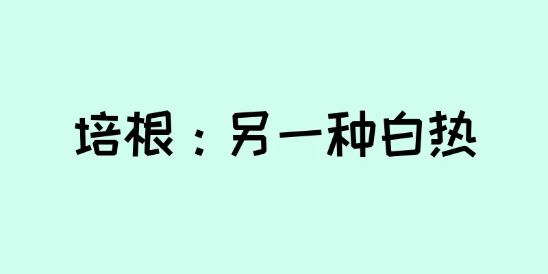 培根：另一种白热