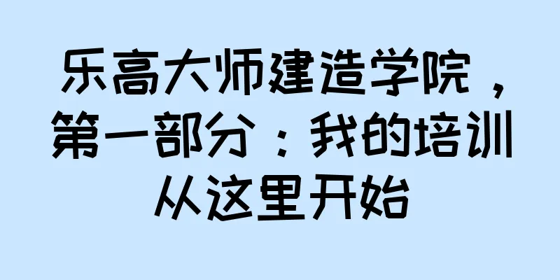 乐高大师建造学院，第一部分：我的培训从这里开始