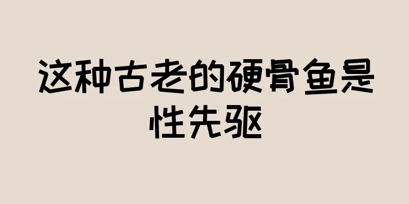 这种古老的硬骨鱼是性先驱