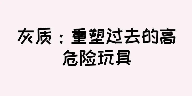 灰质：重塑过去的高危险玩具