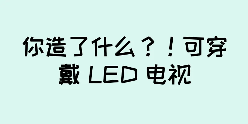 你造了什么？！可穿戴 LED 电视