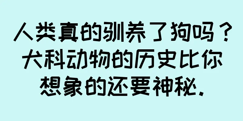 人类真的驯养了狗吗？犬科动物的历史比你想象的还要神秘。