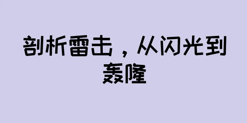 剖析雷击，从闪光到轰隆