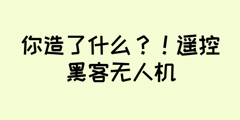 你造了什么？！遥控黑客无人机