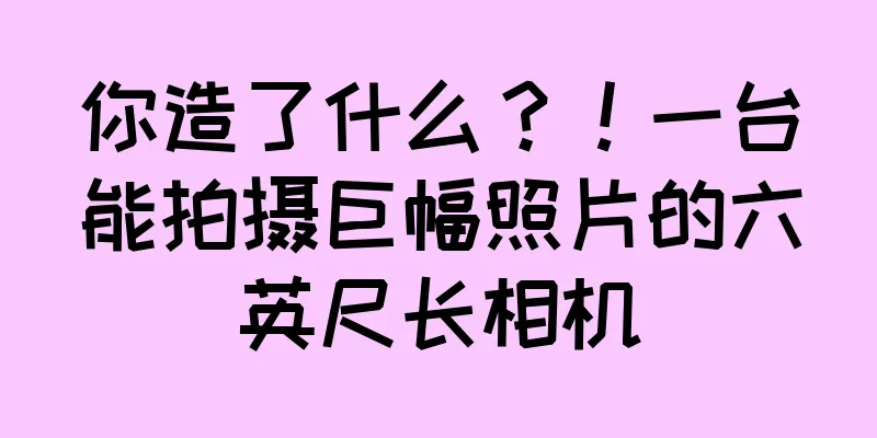 你造了什么？！一台能拍摄巨幅照片的六英尺长相机