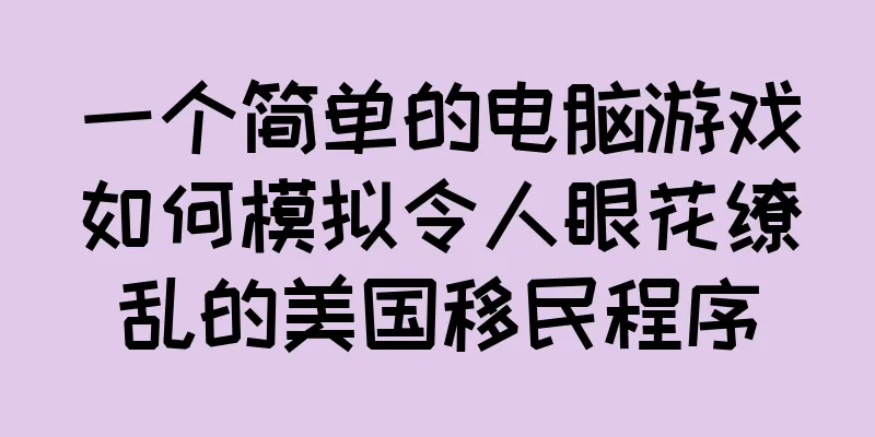 一个简单的电脑游戏如何模拟令人眼花缭乱的美国移民程序