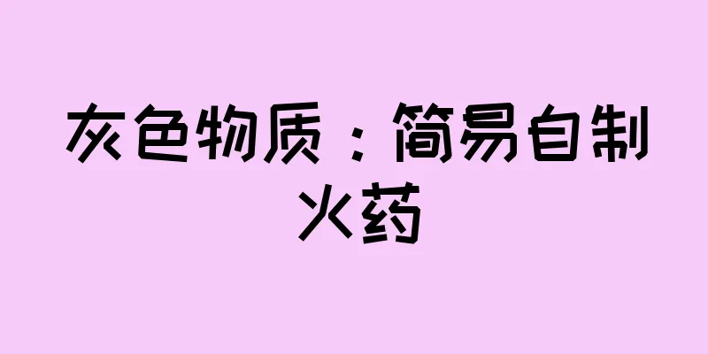 灰色物质：简易自制火药