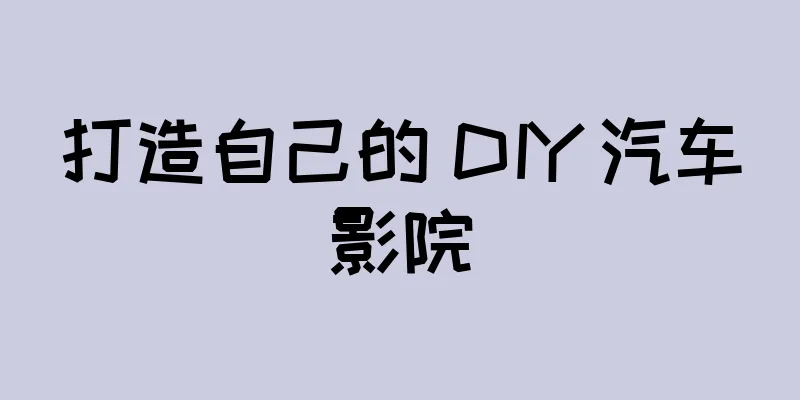 打造自己的 DIY 汽车影院
