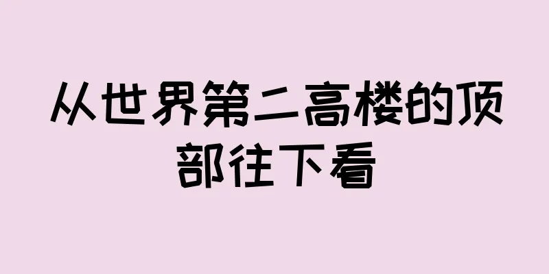 从世界第二高楼的顶部往下看