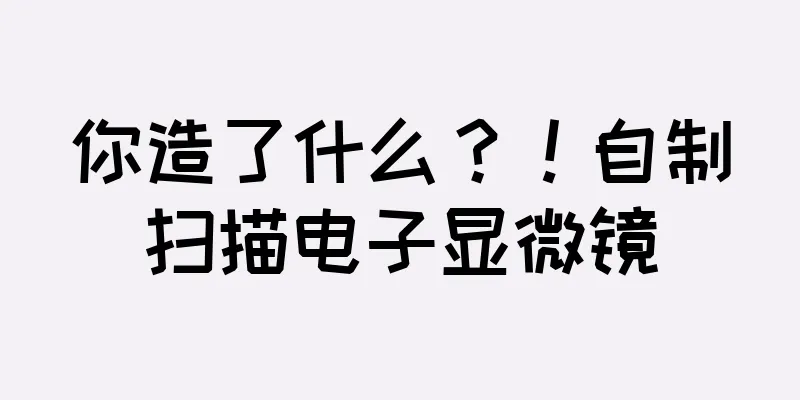 你造了什么？！自制扫描电子显微镜