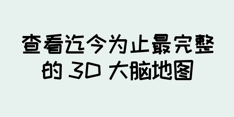 查看迄今为止最完整的 3D 大脑地图