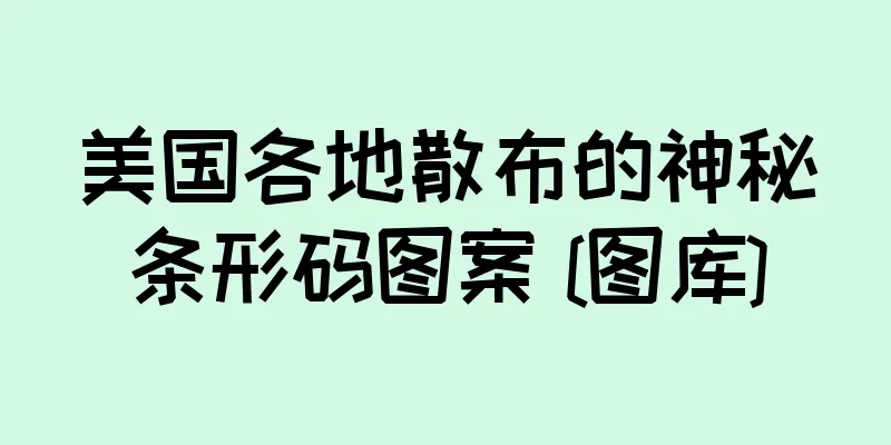 美国各地散布的神秘条形码图案 [图库]