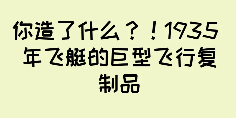 你造了什么？！1935 年飞艇的巨型飞行复制品