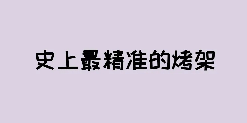 史上最精准的烤架