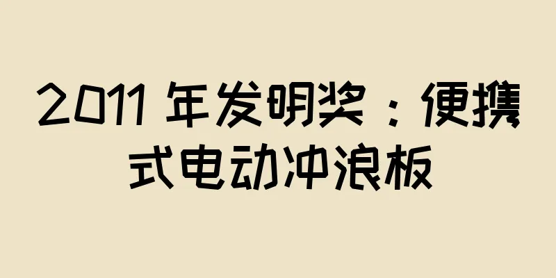2011 年发明奖：便携式电动冲浪板