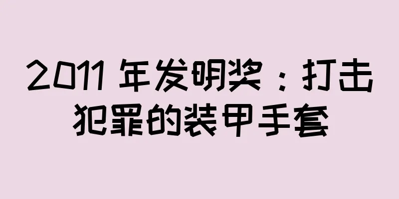 2011 年发明奖：打击犯罪的装甲手套