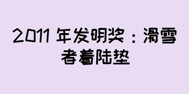 2011 年发明奖：滑雪者着陆垫