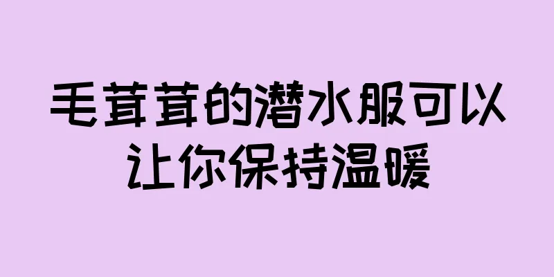 毛茸茸的潜水服可以让你保持温暖