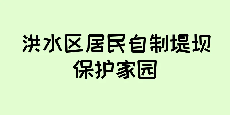 洪水区居民自制堤坝保护家园