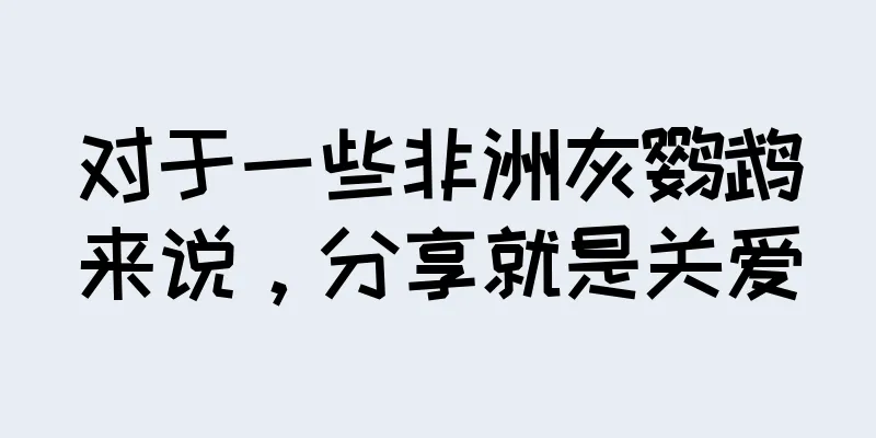 对于一些非洲灰鹦鹉来说，分享就是关爱