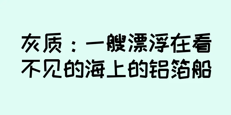 灰质：一艘漂浮在看不见的海上的铝箔船