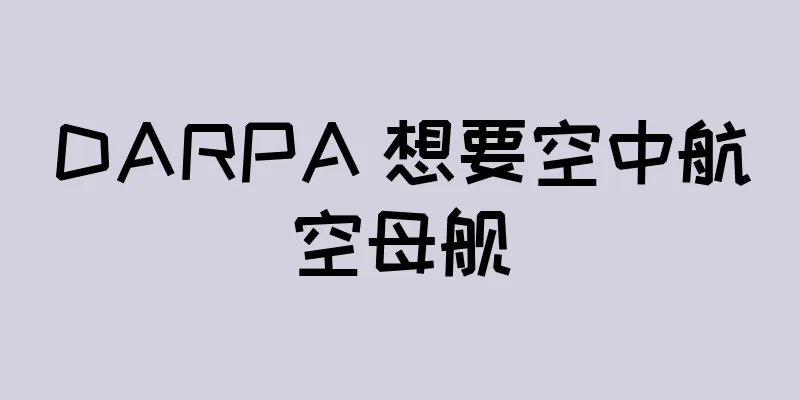 DARPA 想要空中航空母舰