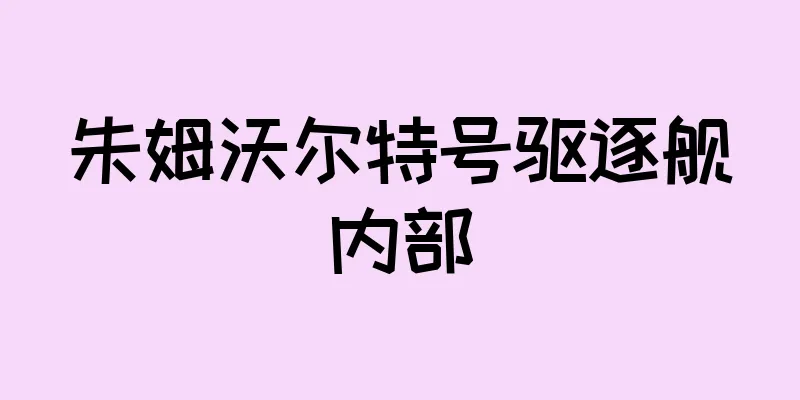 朱姆沃尔特号驱逐舰内部