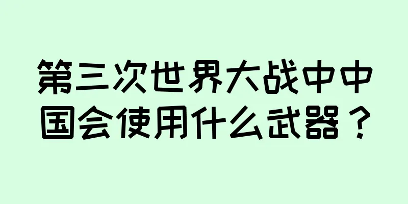 第三次世界大战中中国会使用什么武器？