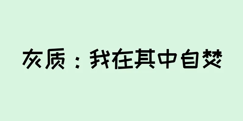 灰质：我在其中自焚