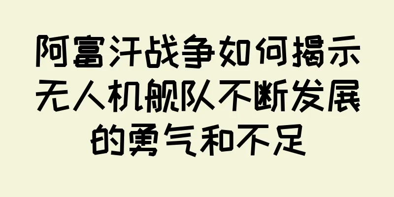 阿富汗战争如何揭示无人机舰队不断发展的勇气和不足