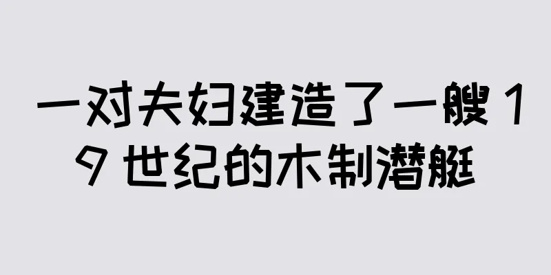 一对夫妇建造了一艘 19 世纪的木制潜艇