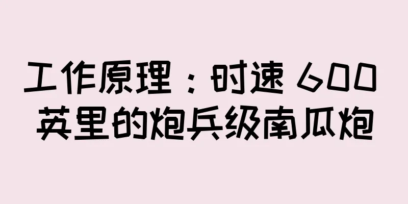 工作原理：时速 600 英里的炮兵级南瓜炮