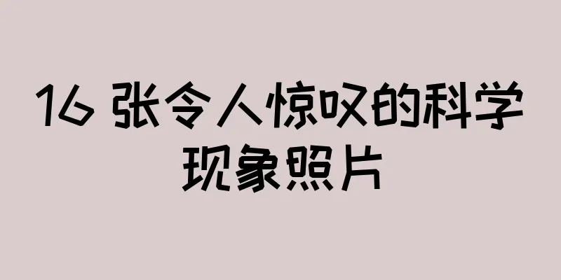 16 张令人惊叹的科学现象照片