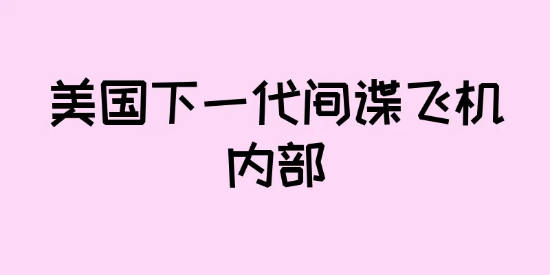 美国下一代间谍飞机内部