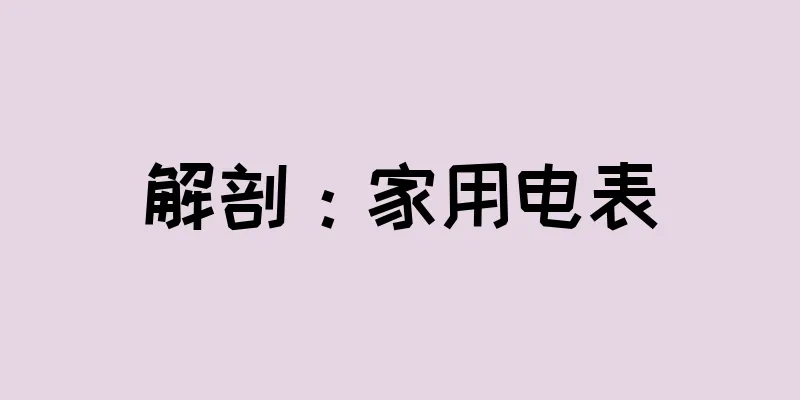 解剖：家用电表
