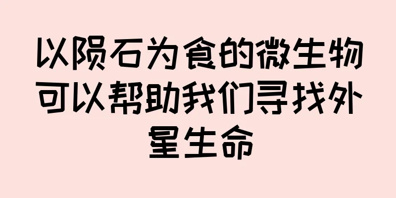 以陨石为食的微生物可以帮助我们寻找外星生命