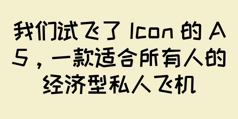 我们试飞了 Icon 的 A5，一款适合所有人的经济型私人飞机