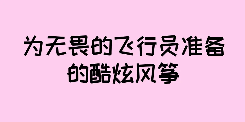 为无畏的飞行员准备的酷炫风筝