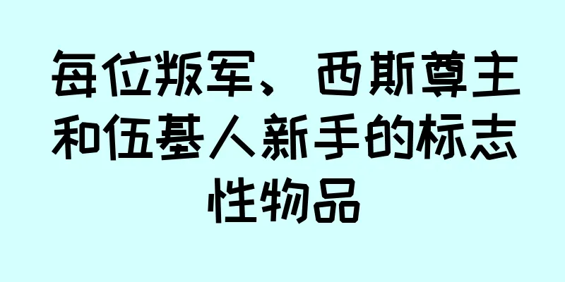 每位叛军、西斯尊主和伍基人新手的标志性物品