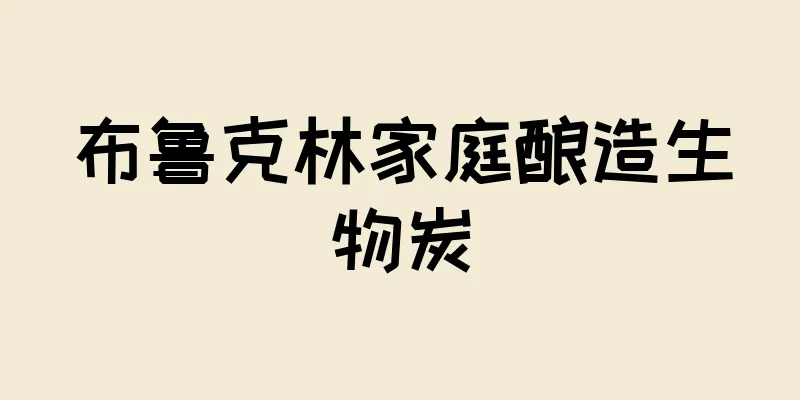 布鲁克林家庭酿造生物炭