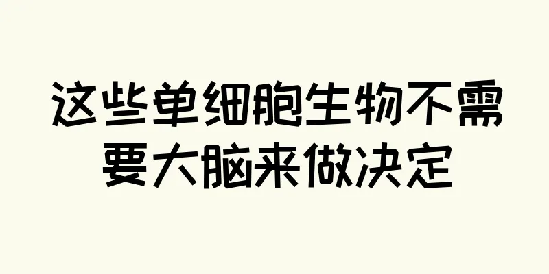 这些单细胞生物不需要大脑来做决定