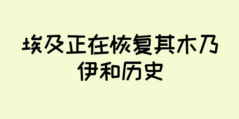 埃及正在恢复其木乃伊和历史