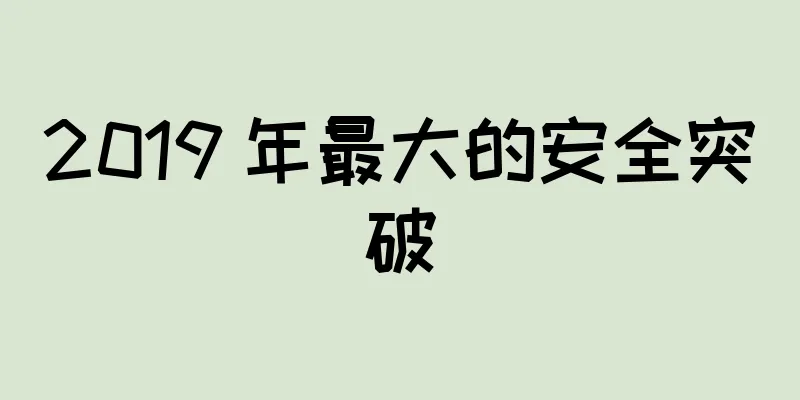 2019 年最大的安全突破