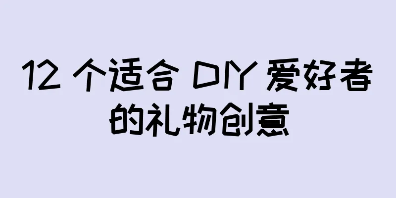 12 个适合 DIY 爱好者的礼物创意