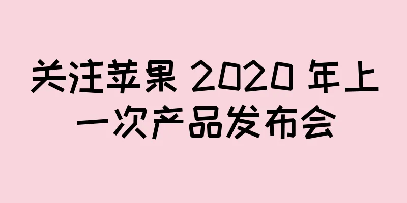 关注苹果 2020 年上一次产品发布会