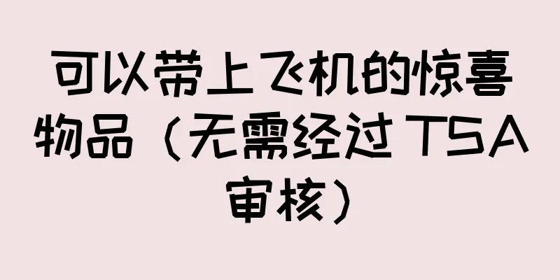 可以带上飞机的惊喜物品（无需经过 TSA 审核）